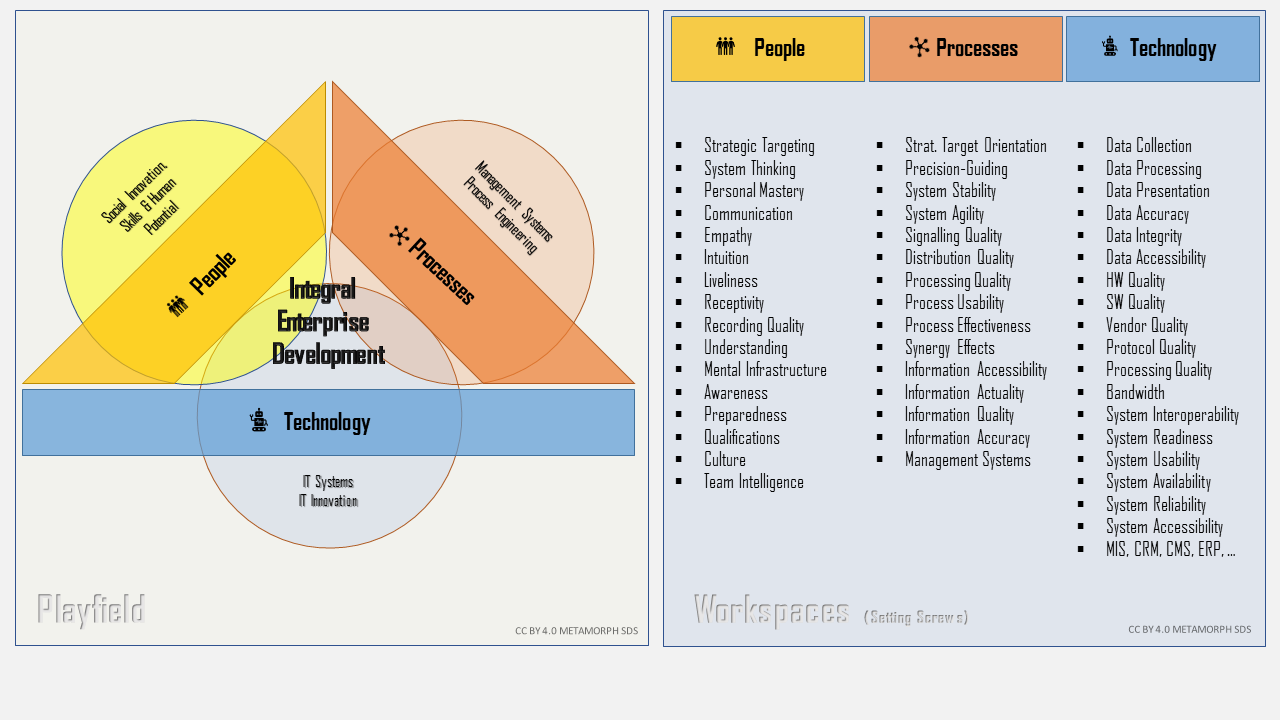 Integral Enterprise Development, Learning Organization